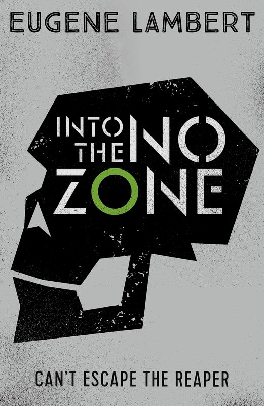 Into The No-Zone book cover